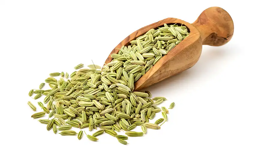 Can Fennel Seed Extract Powder Help with Weight Loss?